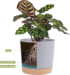 QCQHDU 8-inch plant pot on a window sill
