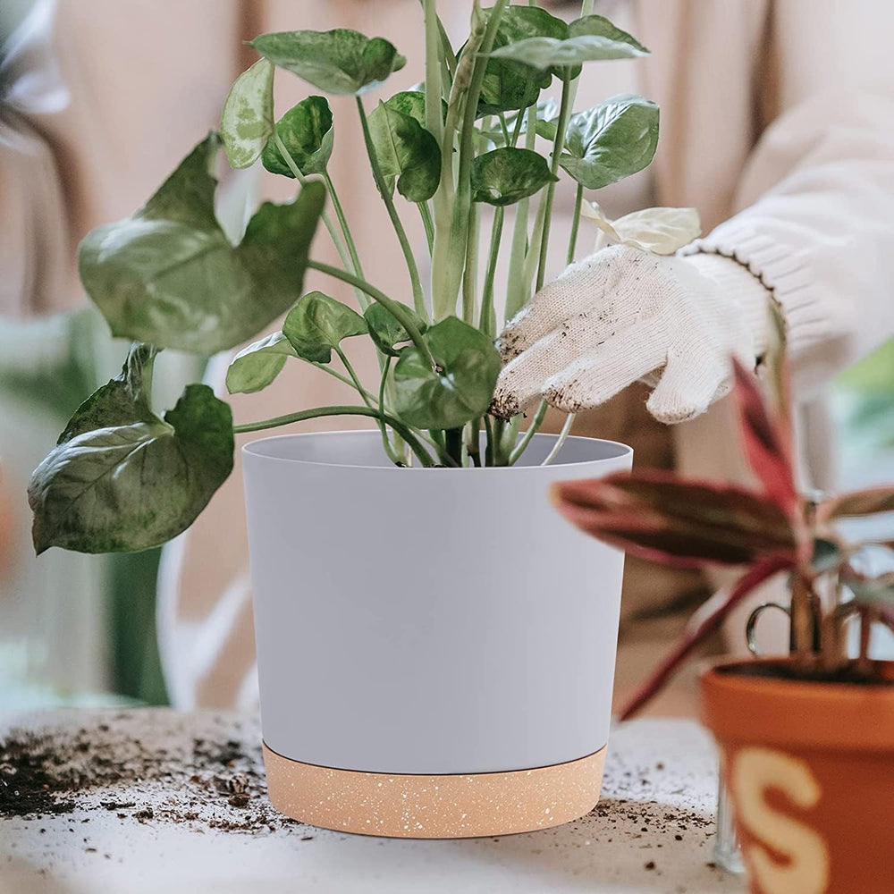 QCQHDU 8-inch plant pot with drainage holes and tray