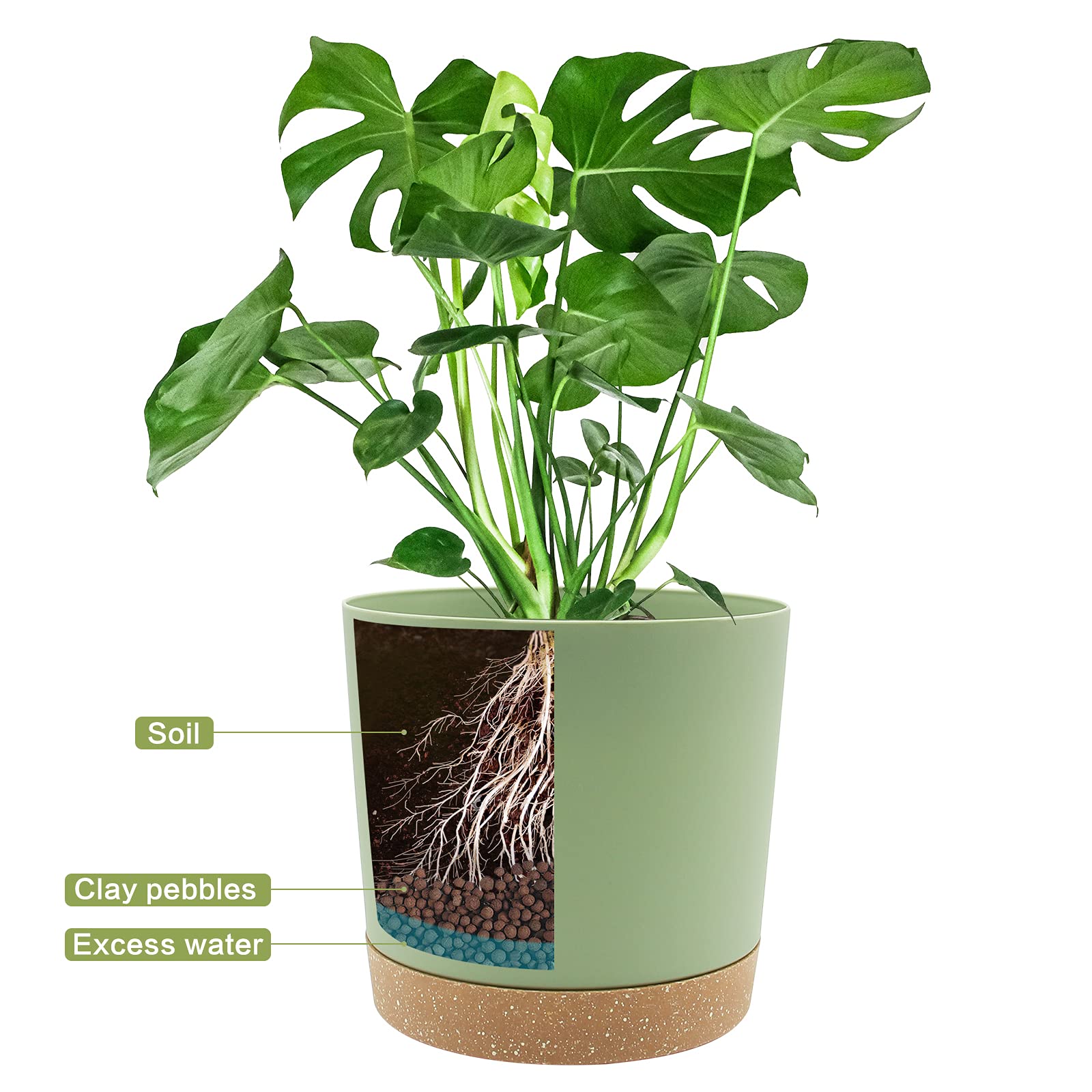 QCQHDU green plant pot with succulent inside