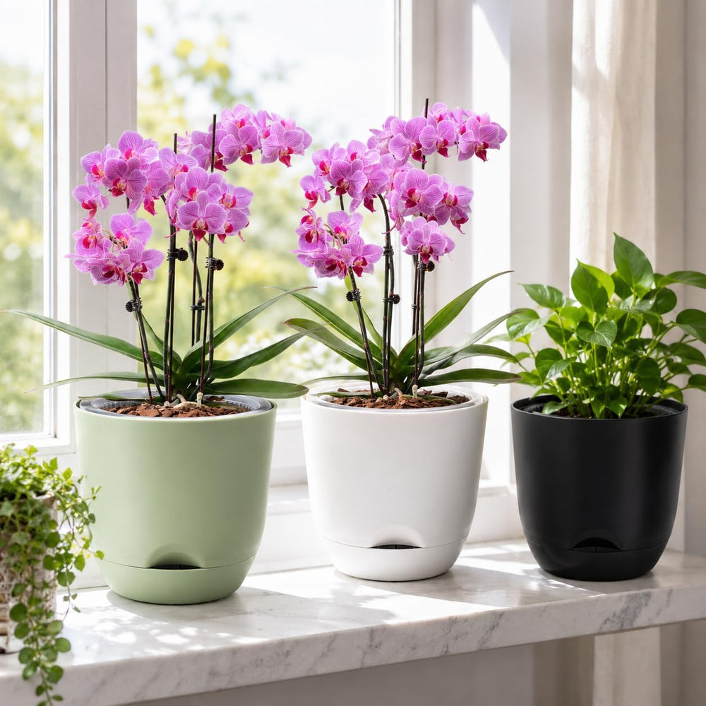 QCQHDU Orchid Pot displayed on a windowsill with orchids