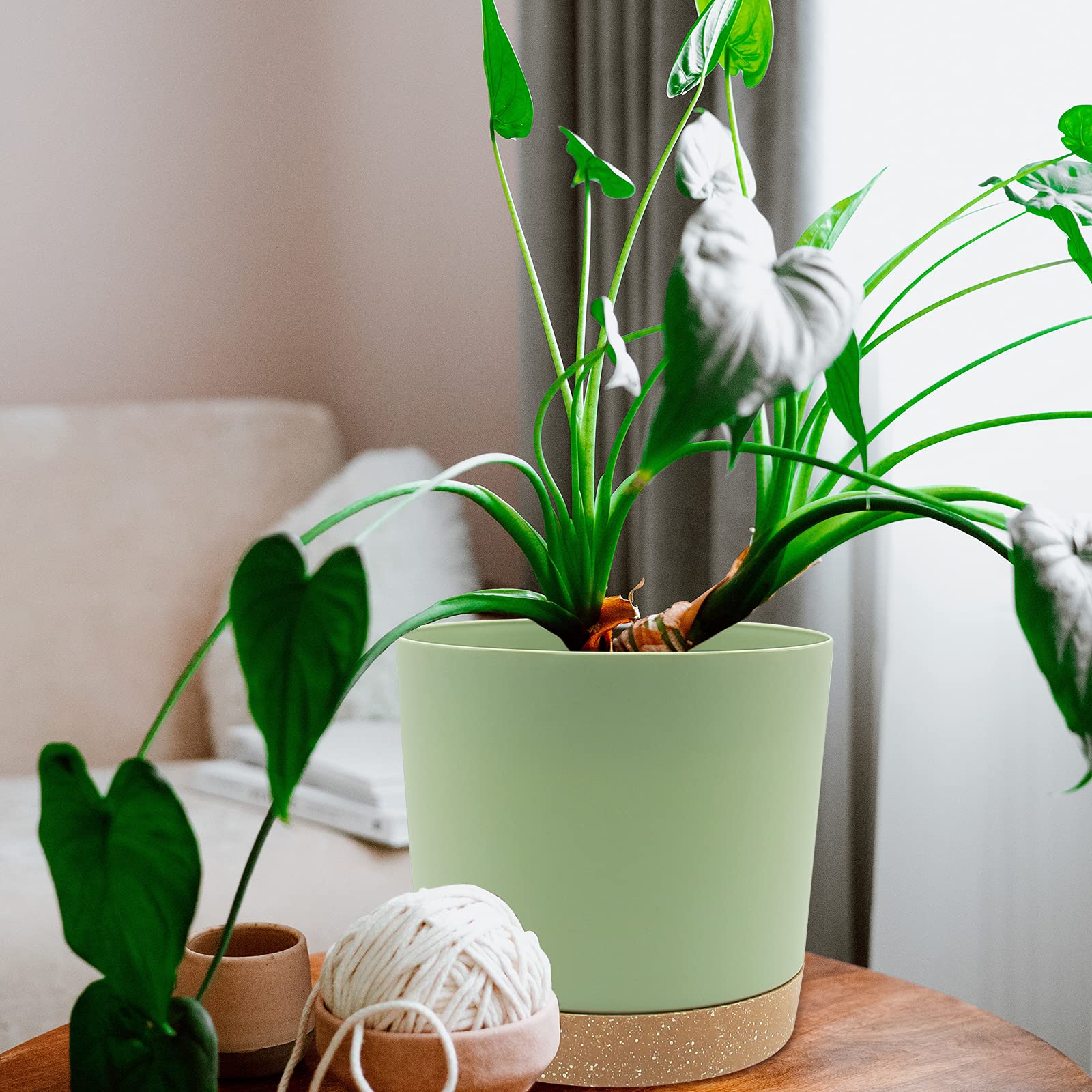 QCQHDU plant pot set displayed in a modern home