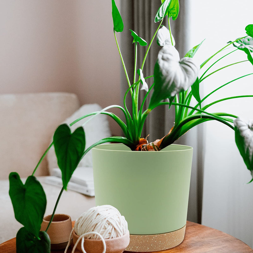 QCQHDU plant pot set displayed in a modern home