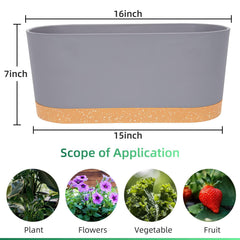 QCQHDU planter box with saucer and indoor plants