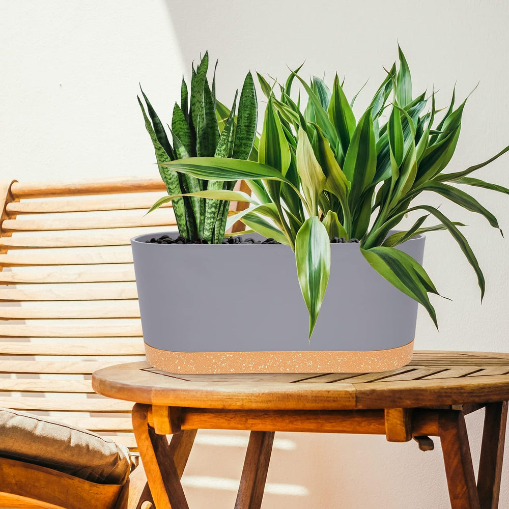 QCQHDU self watering planter box in a modern kitchen