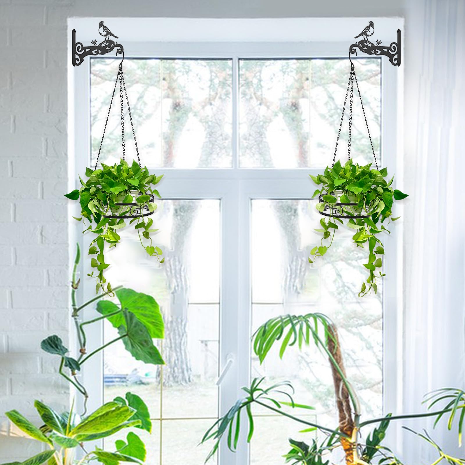 Qiaomeiysp metal plant hanger with chain and hook