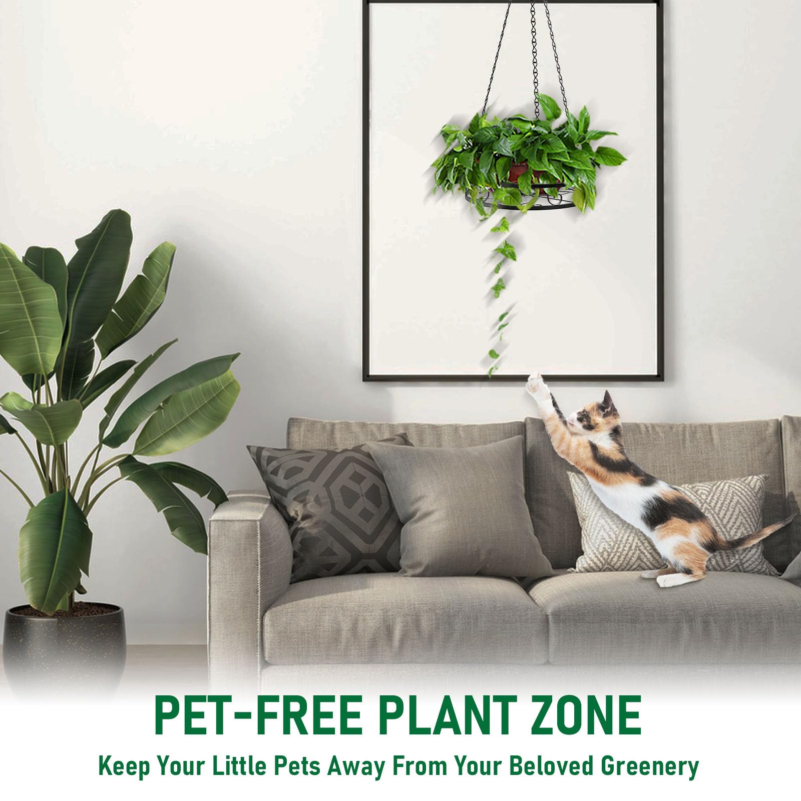 Qiaomeiysp plant hanger with flowers outdoors