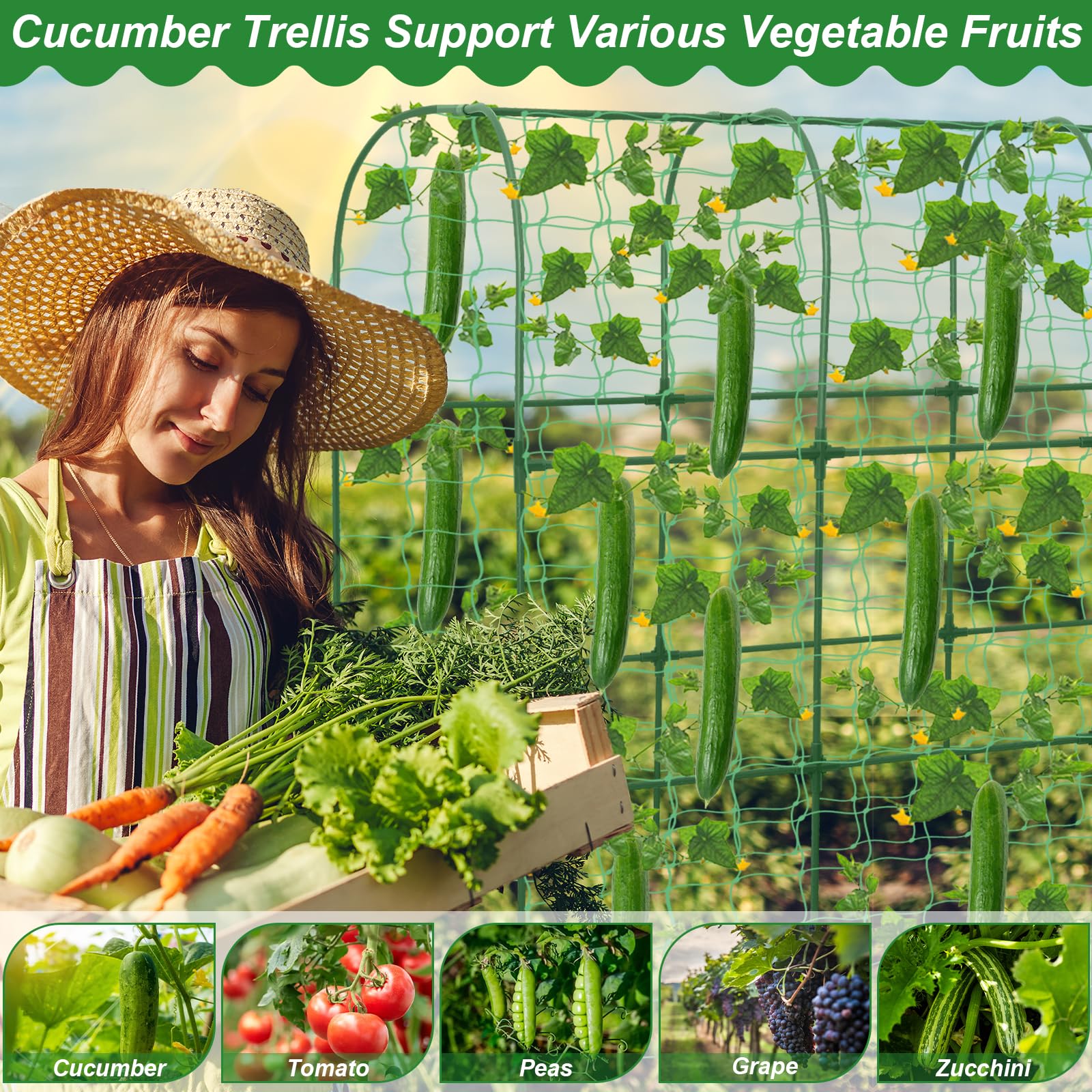 Qinzave Cucumber Trellis in use with climbing plants