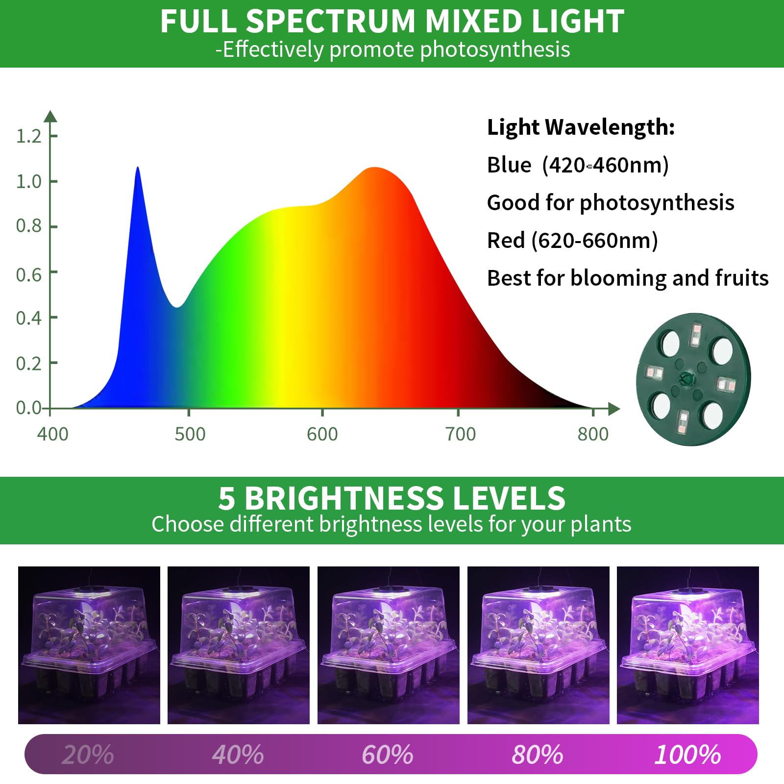 Qoolife Plant Seedling Tray with Grow Light Kit in use