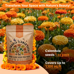 QR code on Calendula seeds packet for online growing guide
