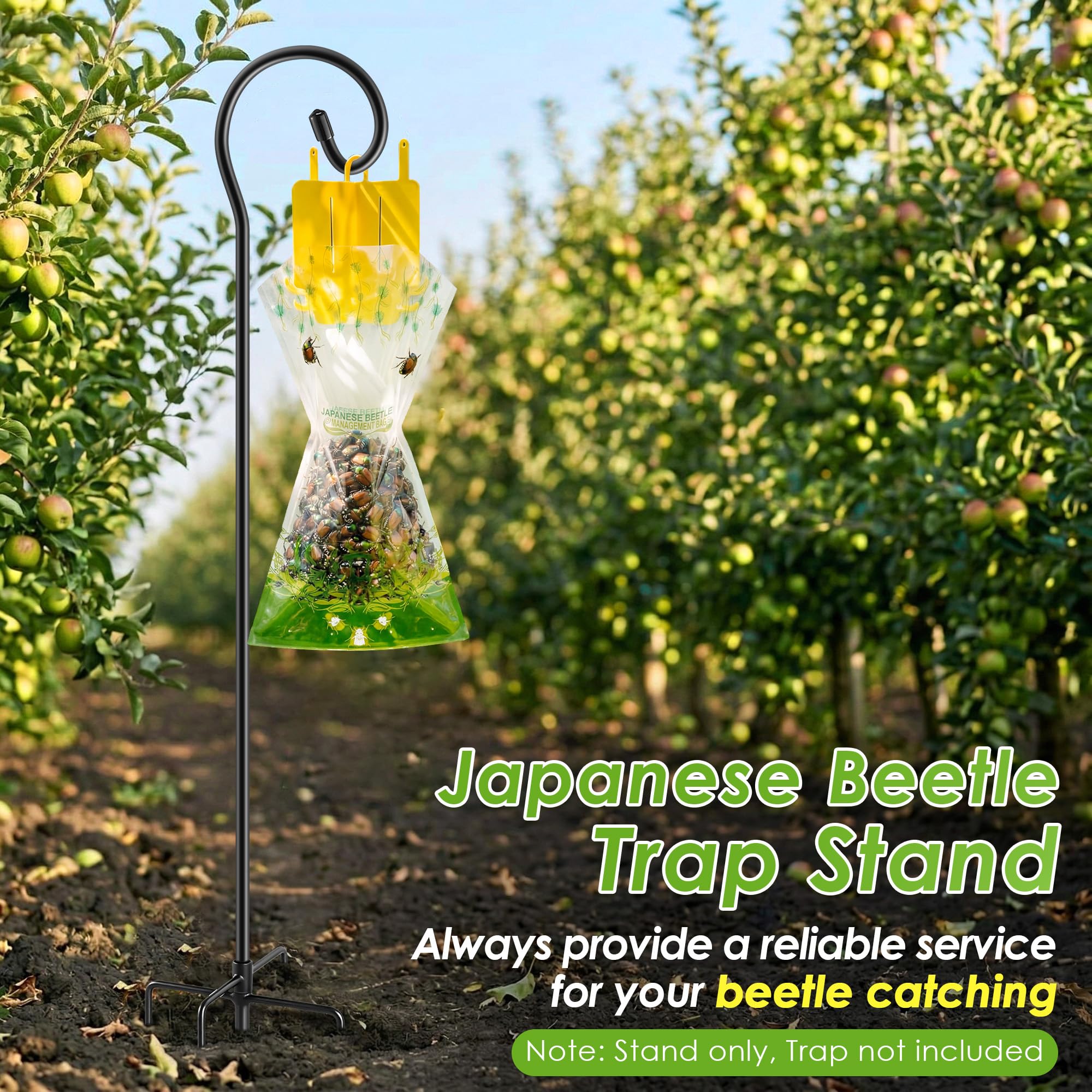 Qualirey Beetle Trap Stand with black coating