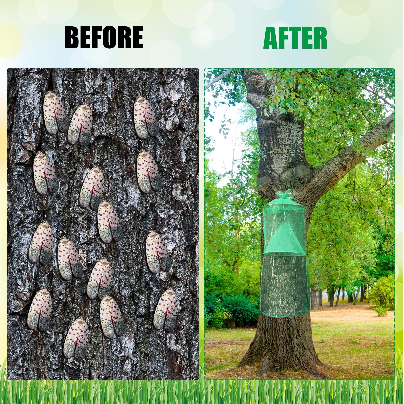 Qualirey Lanternfly Trap displayed in a garden setting