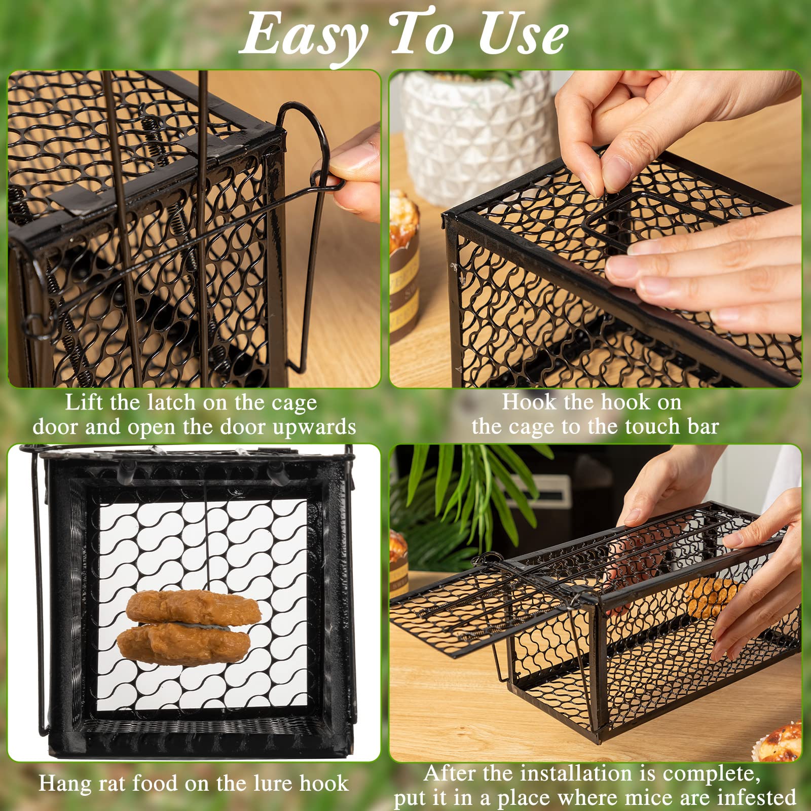 Qualirey live animal cage trap set up with bait