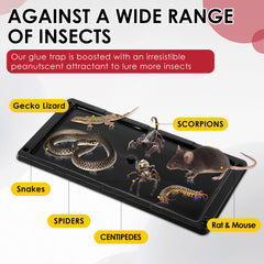Qualirey Rat Glue Trap positioned against a wall