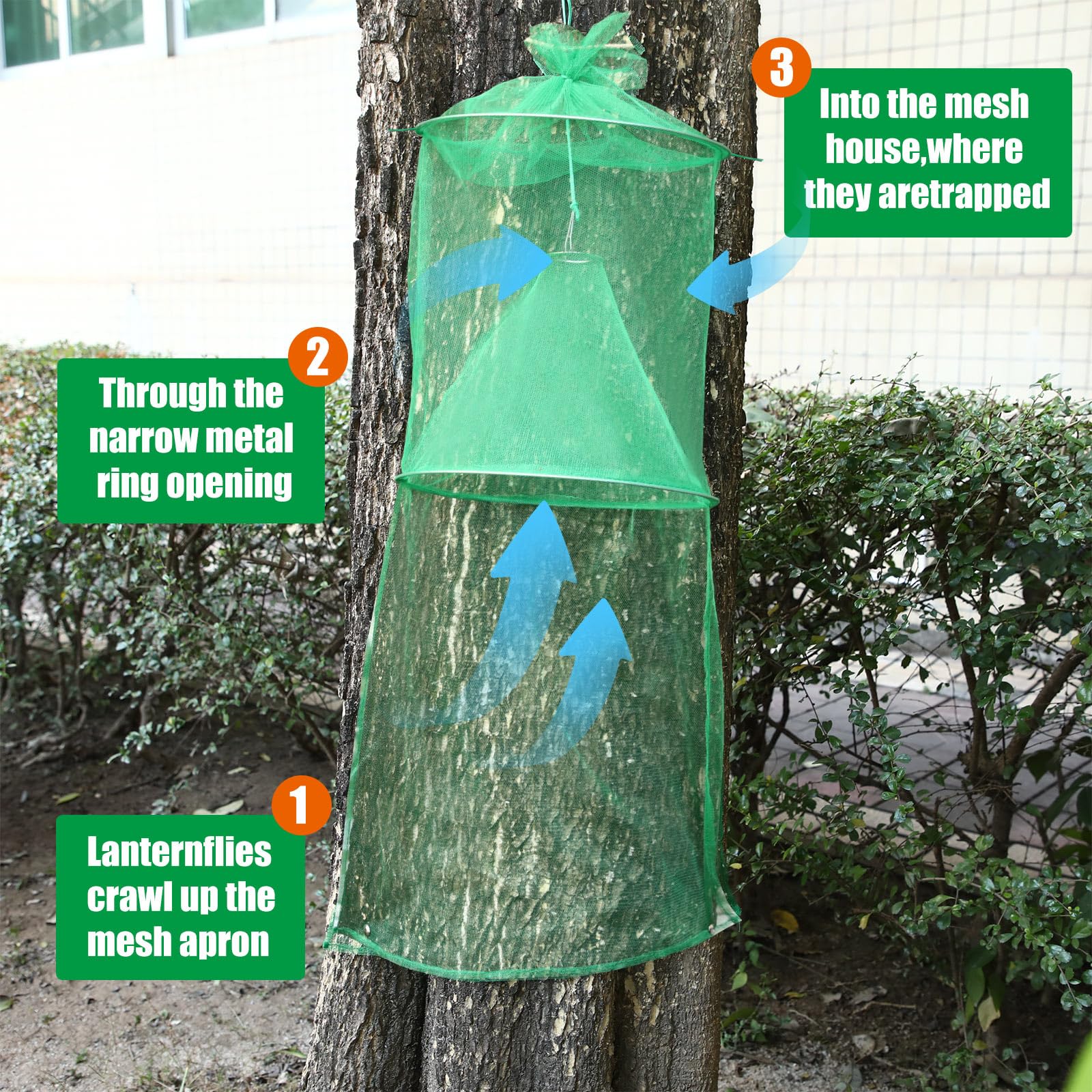 Qualirey Spotted Lanternfly Trap displayed in garden