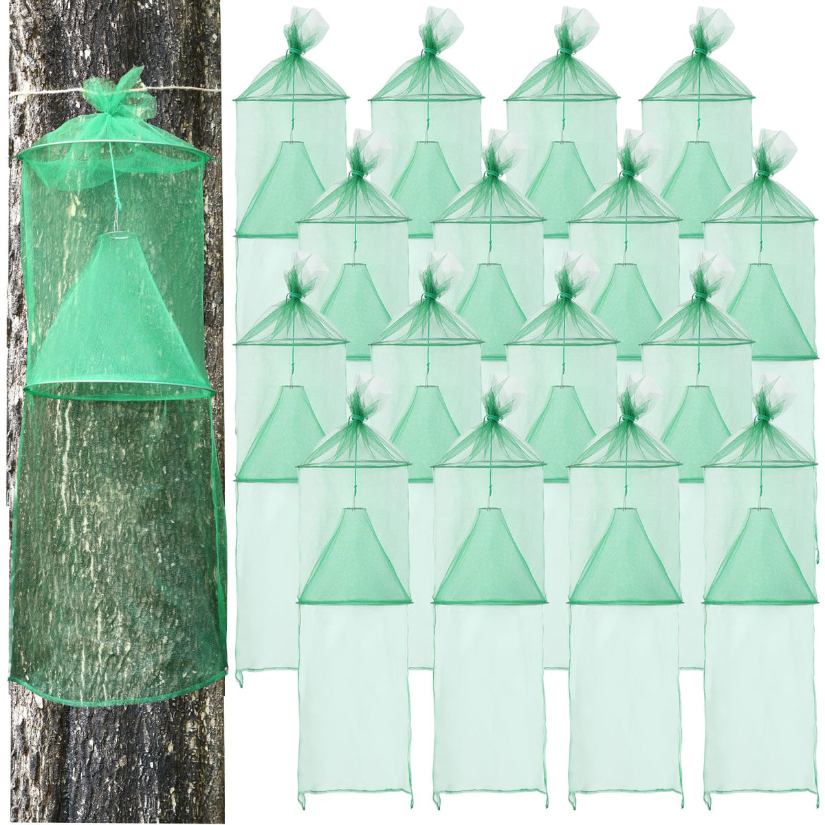 Qualirey Spotted Lanternfly Trap front view with green mesh