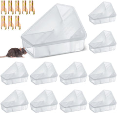 Qualirey Triangle Mice Rat Bait Station front view, translucent design