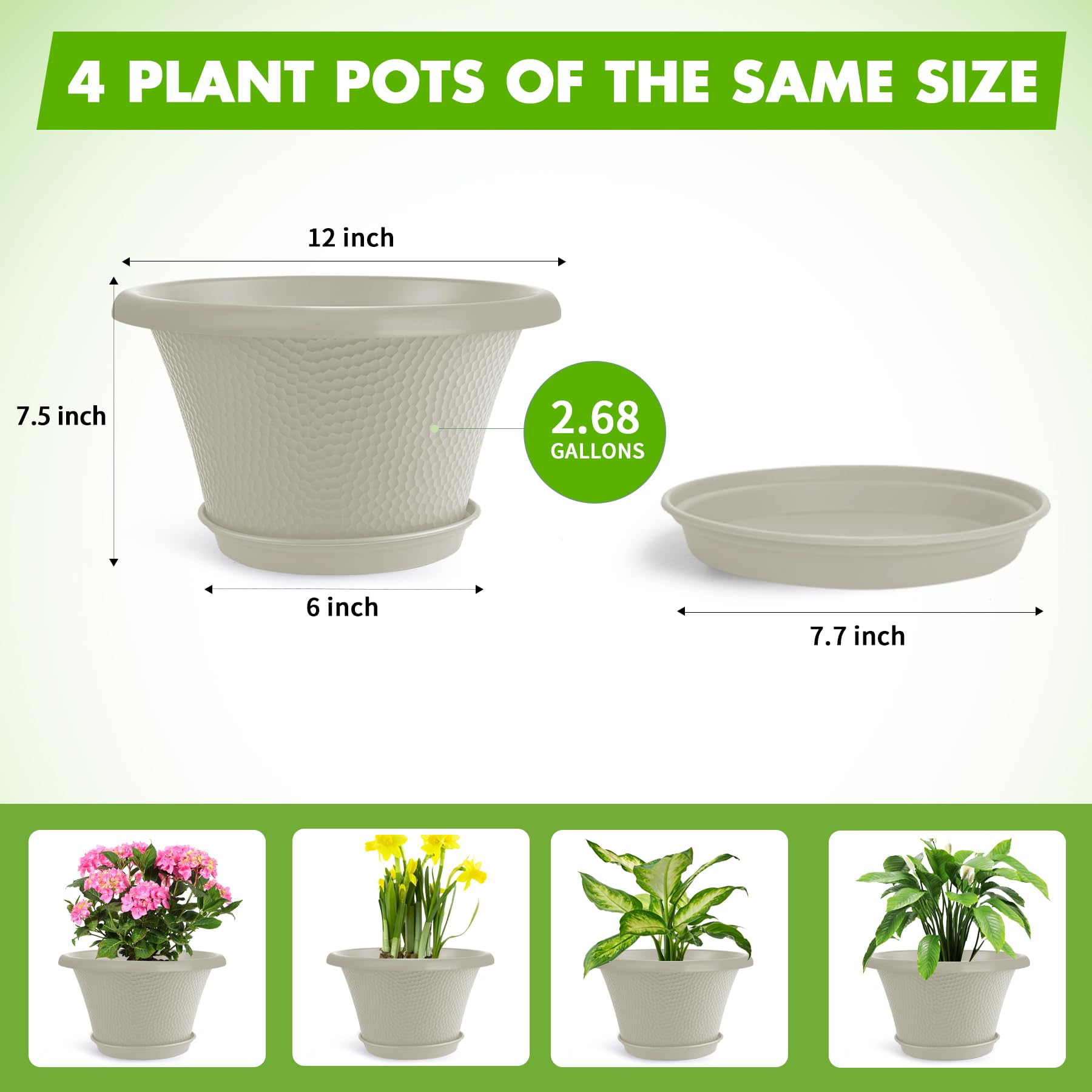 Quarut 12 Inch Flower Pot with herbs planted inside