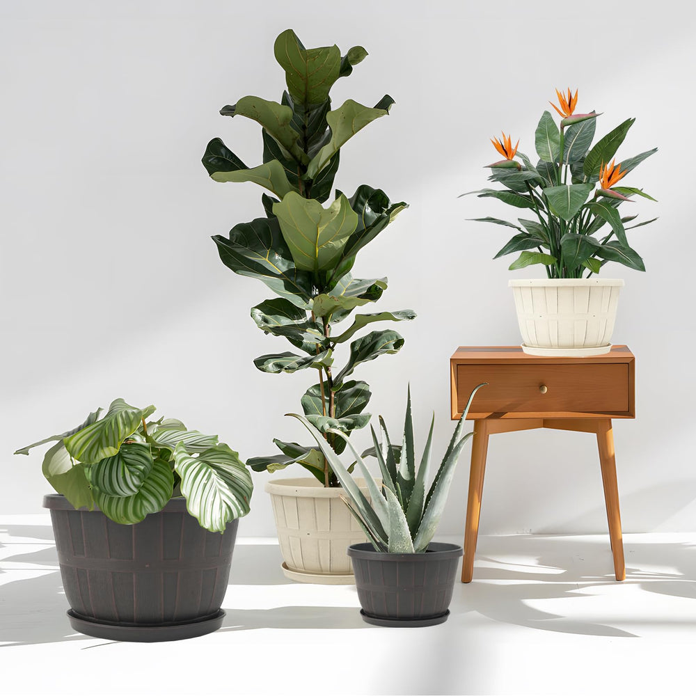 Quarut 12 Inch Planters displayed in outdoor garden