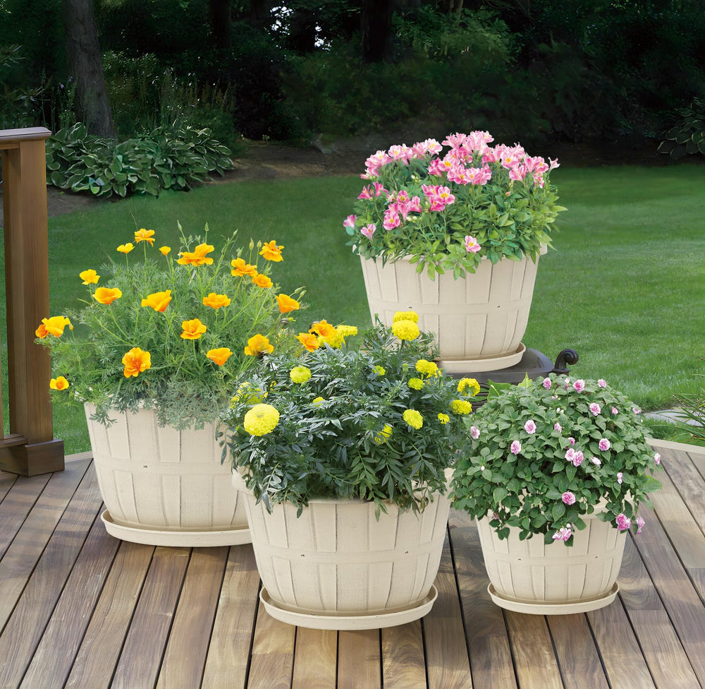 Quarut 12 Inch Planters with various plants arranged