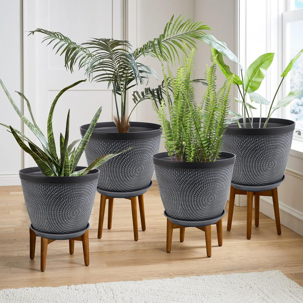Quarut 6 Inch Flower Pot with succulent plant