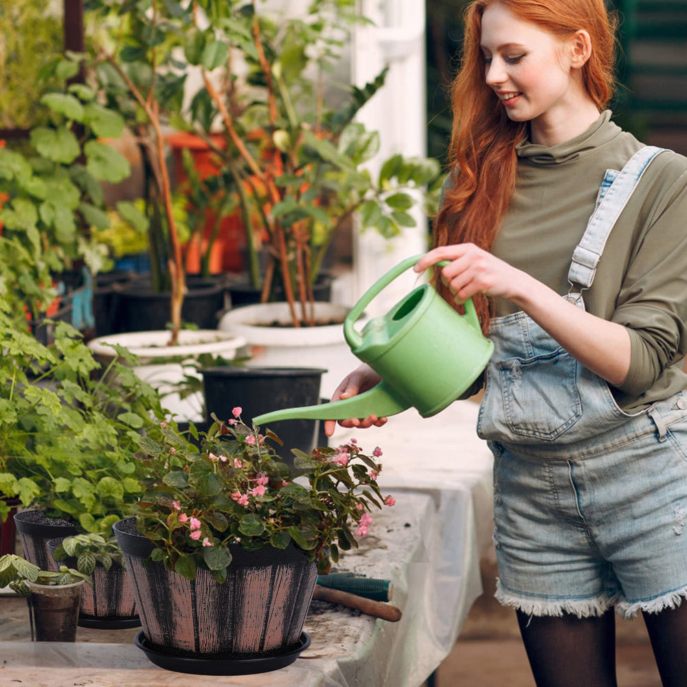 Quarut brown plastic plant pot in outdoor garden setup