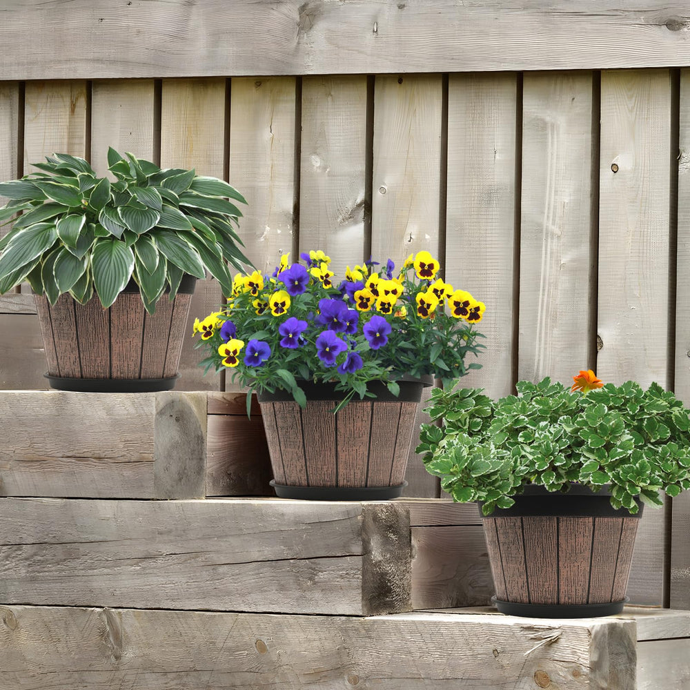 Quarut plant pots in a garden setting with flowers