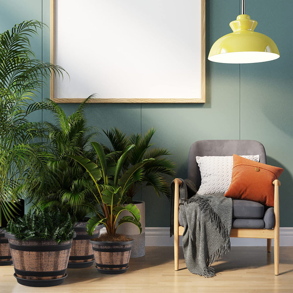 Quarut planter set of 4 with diverse indoor plants