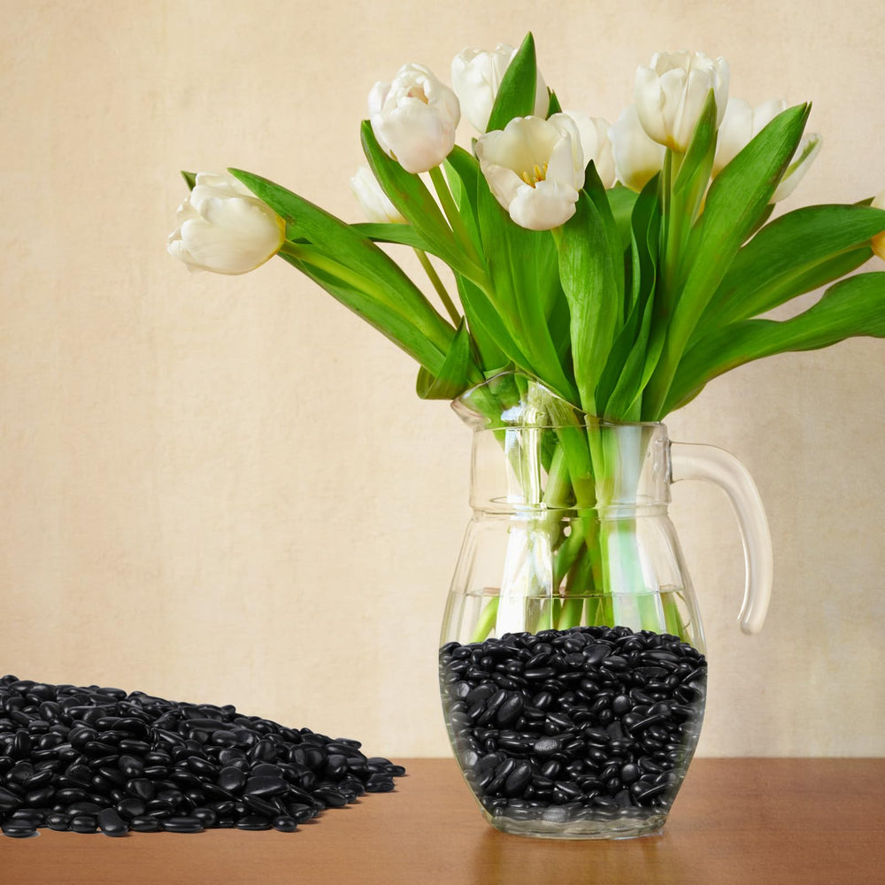 Rahato Black Pebbles used as vase fillers with indoor plants