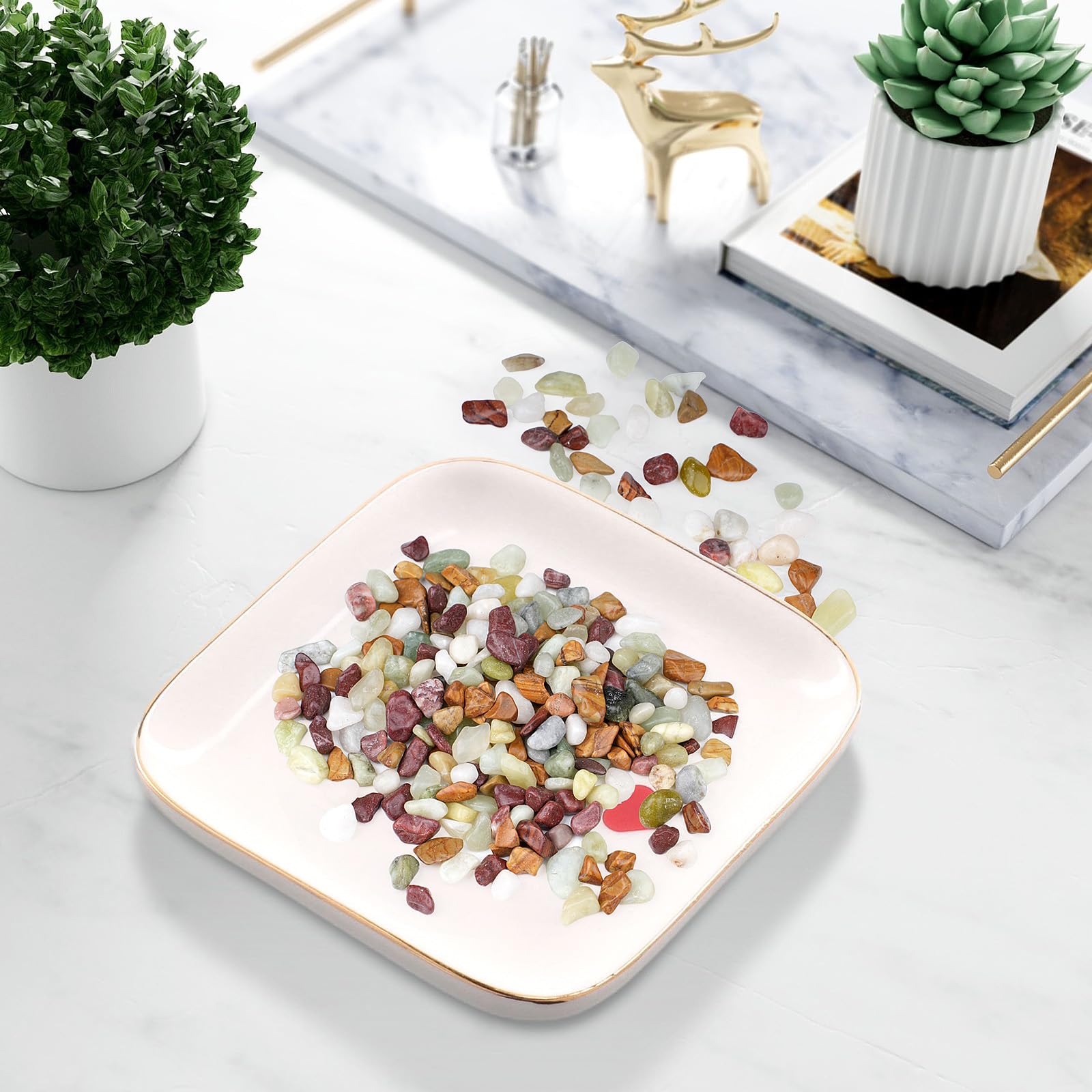 Rahato pebbles used in a succulent arrangement