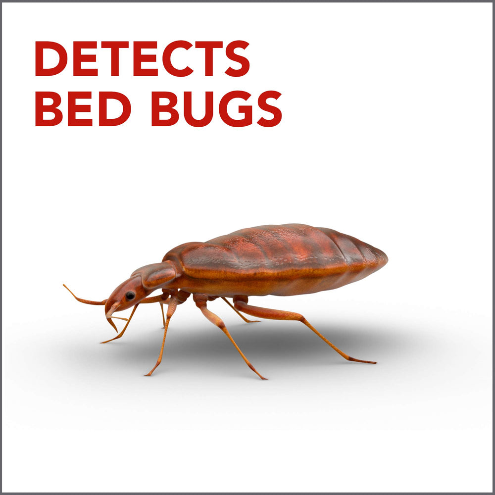 Raid Bed Bug Detector and Trap in a bedroom setting