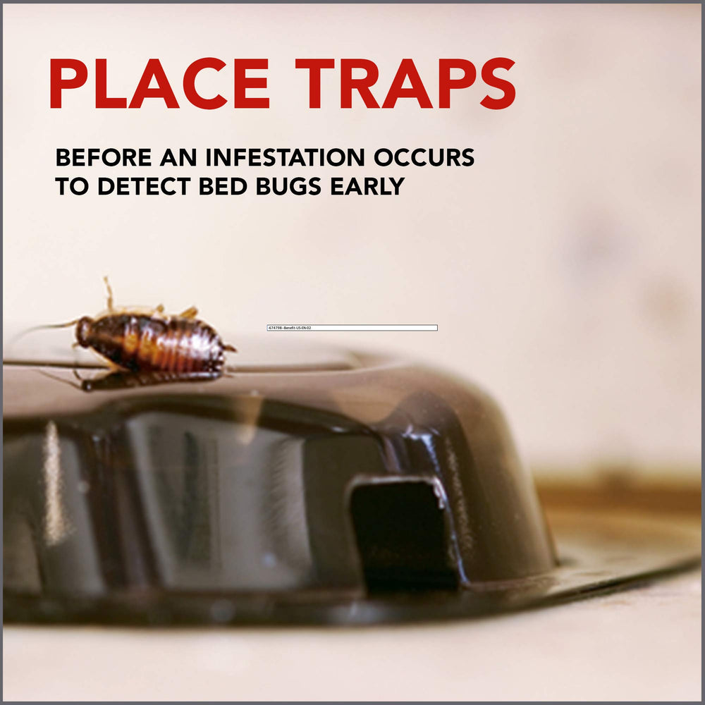 Raid Bed Bug Detector & Trap 8 Count, unscented