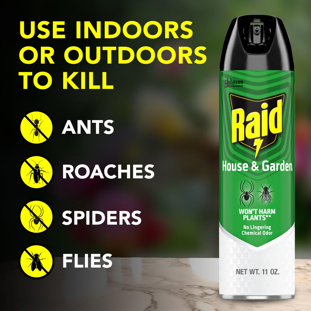 Raid Bug Killer Spray showing nozzle and cap