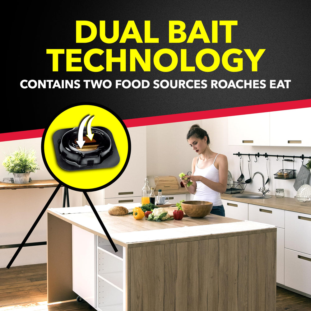 Raid Double Control Roach Baits in a discreet placement