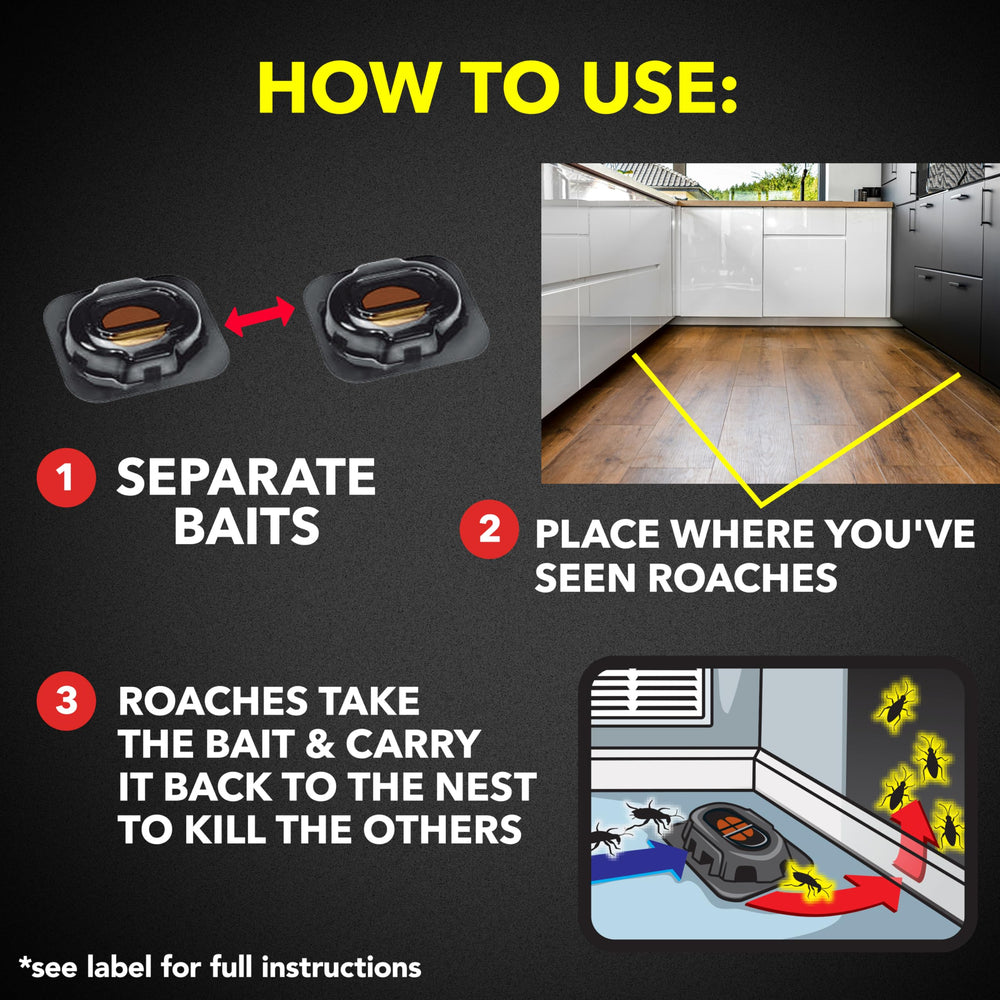 Raid Double Control Roach Baits next to common household items