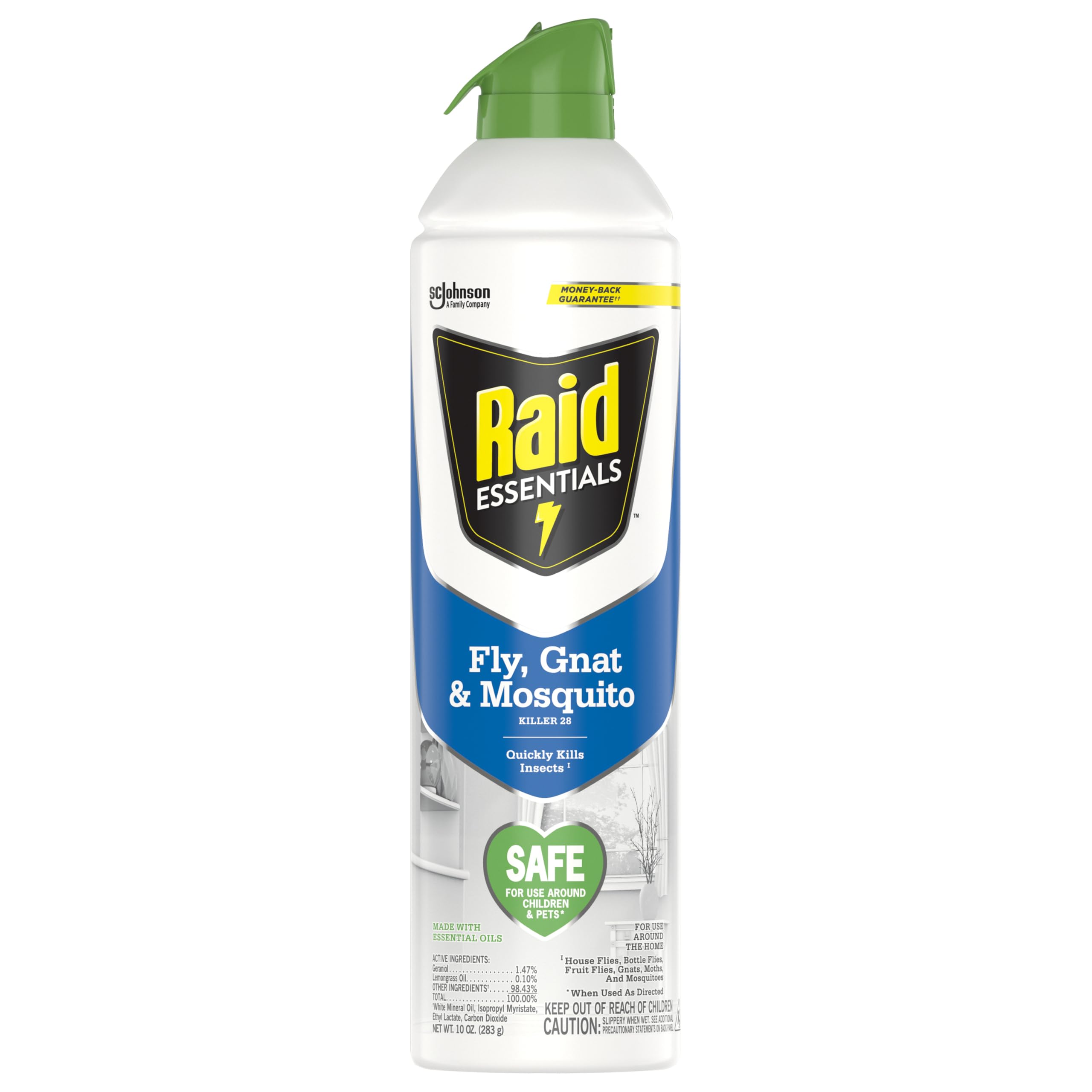 Raid Essentials Fly, Gnat & Mosquito Killer Spray 10 oz front view