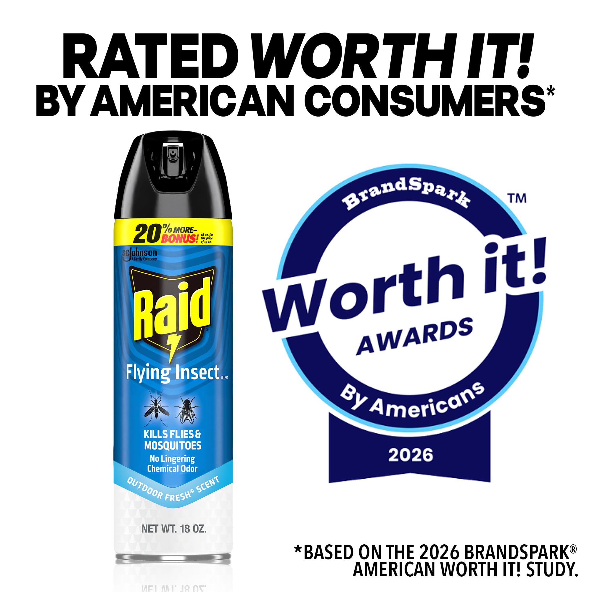 Raid Flying Insect Killer displayed with other pest control products
