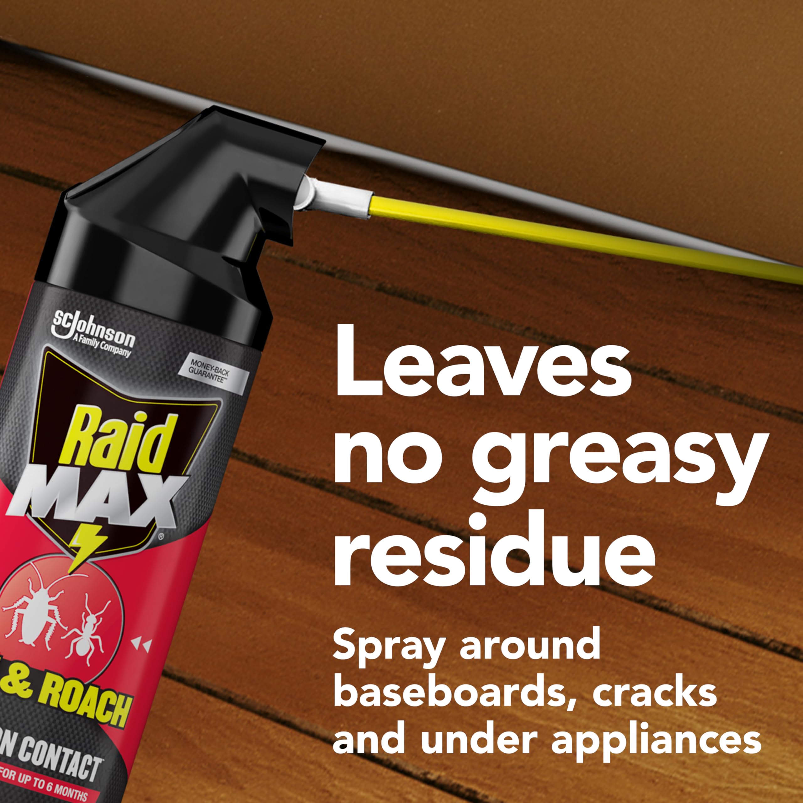 Raid Max Ant and Roach Spray in a pest control setting