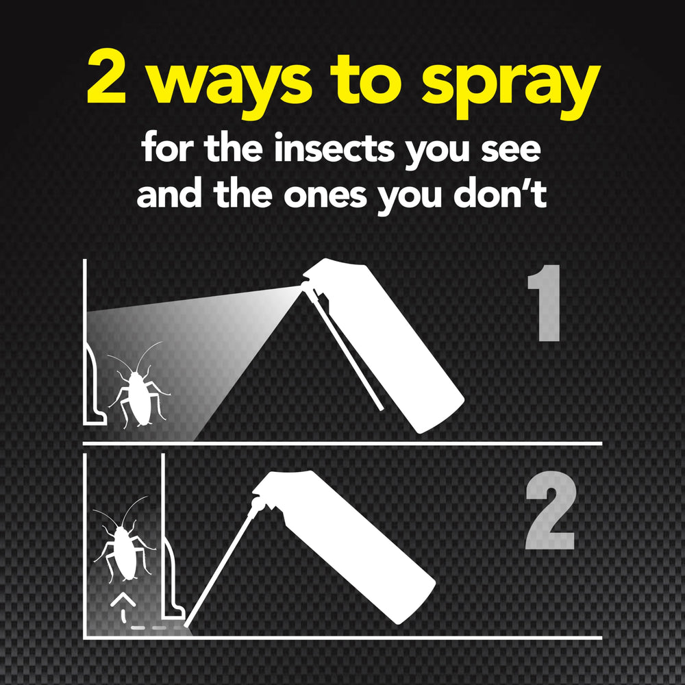 Raid Max Ant and Roach Spray packaging details