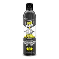 Raid Max Foaming Wasp & Hornet Killer 16.5 oz front view