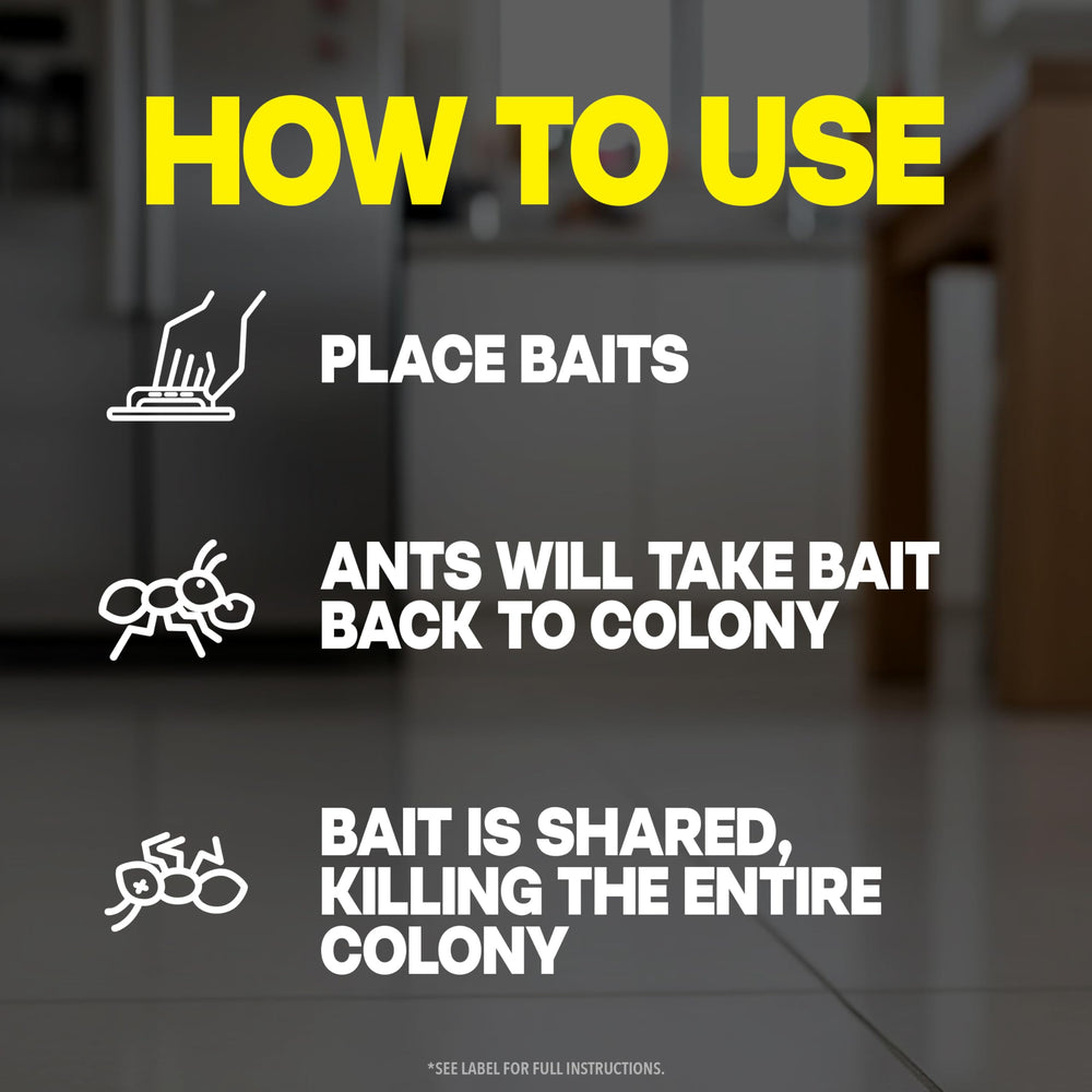 Raid Max Liquid Ant Bait package dimensions overview