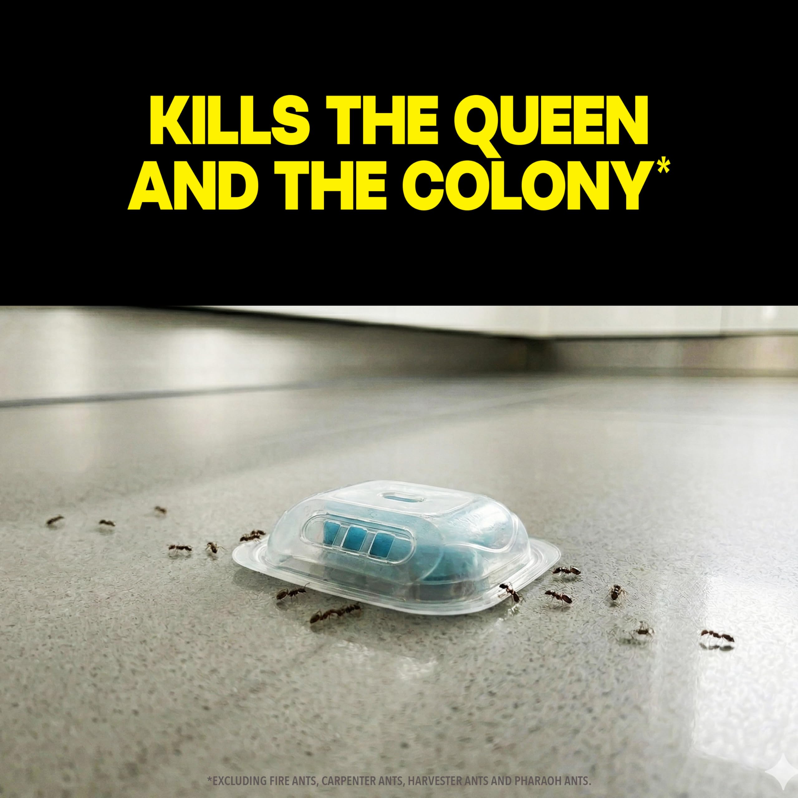 Raid Max Liquid Ant Bait station close-up showing liquid inside