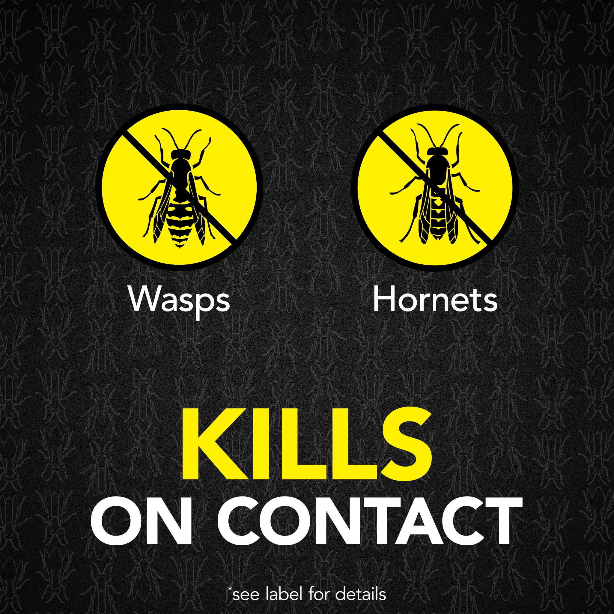 Raid Max Wasp & Hornet Killer aerosol can side view