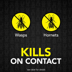 Raid Max Wasp & Hornet Killer aerosol can side view