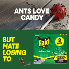 Raid Outdoor Liquid Ant Bait application on patio