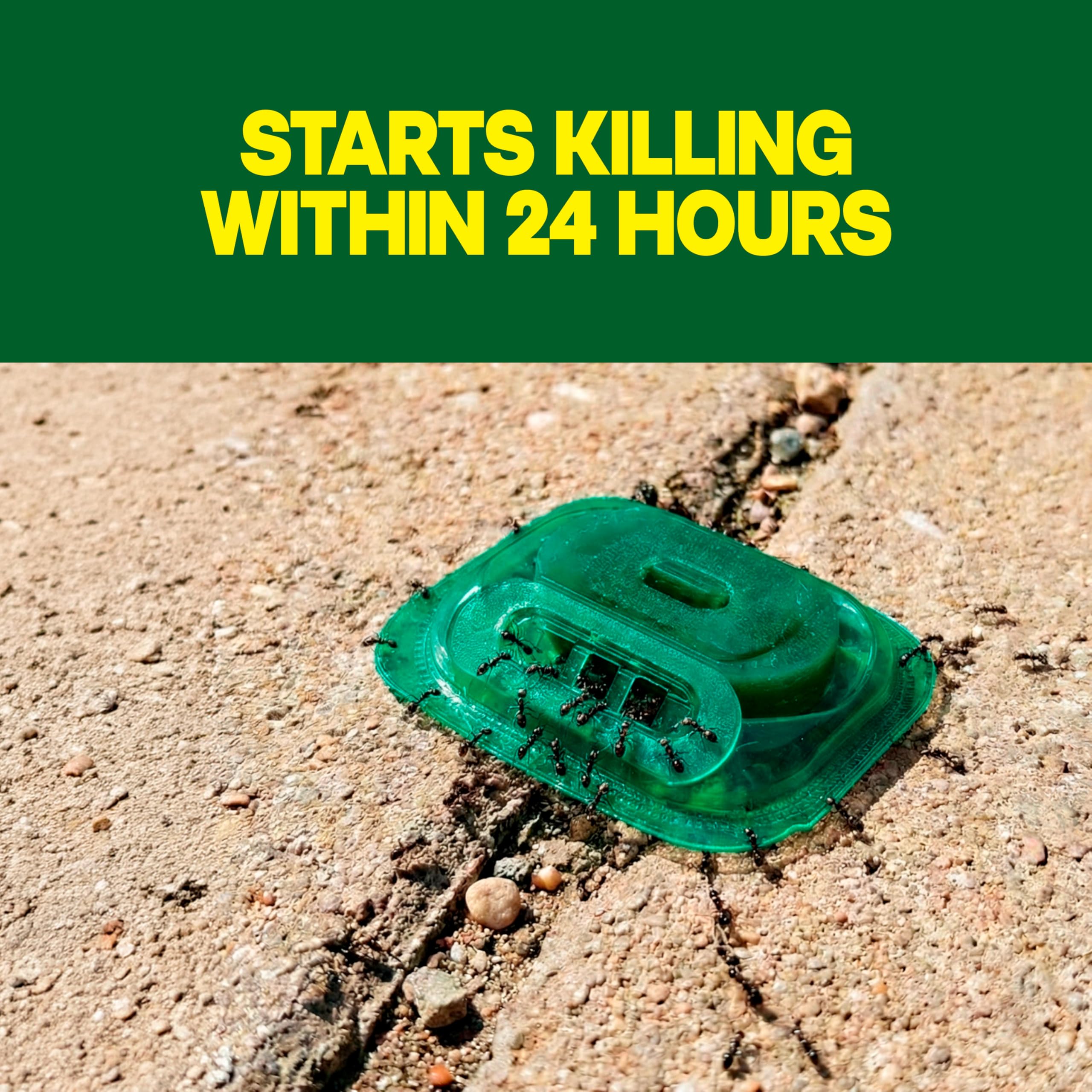 Raid Outdoor Liquid Ant Bait in use outdoors