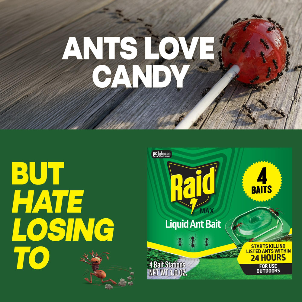 Raid Outdoor Liquid Ant Bait with ants attracted to bait station