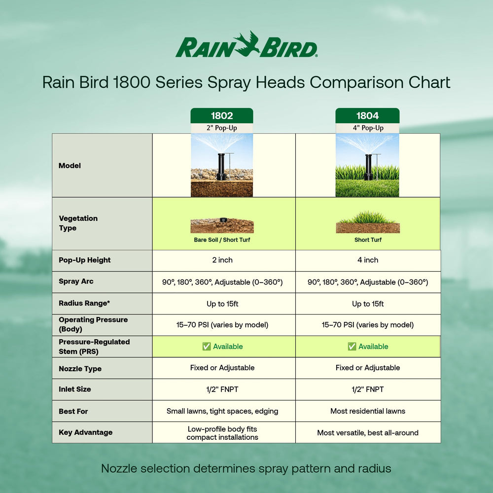 Rain Bird 1804APPRS sprinkler head in a garden setting