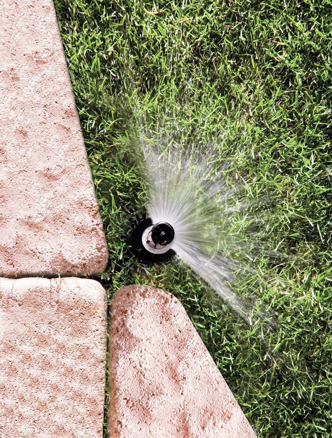 Rain Bird 1804NPPRS sprinkler in garden setting