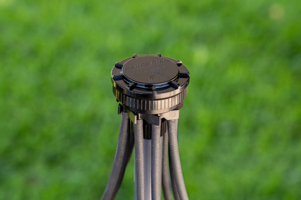 Rain Bird 9-Port Drip Manifold in garden setup