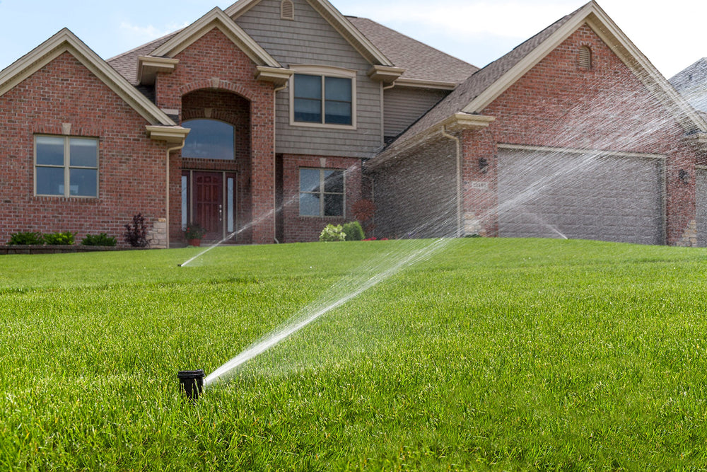 Rain Bird CP5000NP Non-Potable Rotor in garden setting